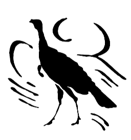 a black silhouette of a bird